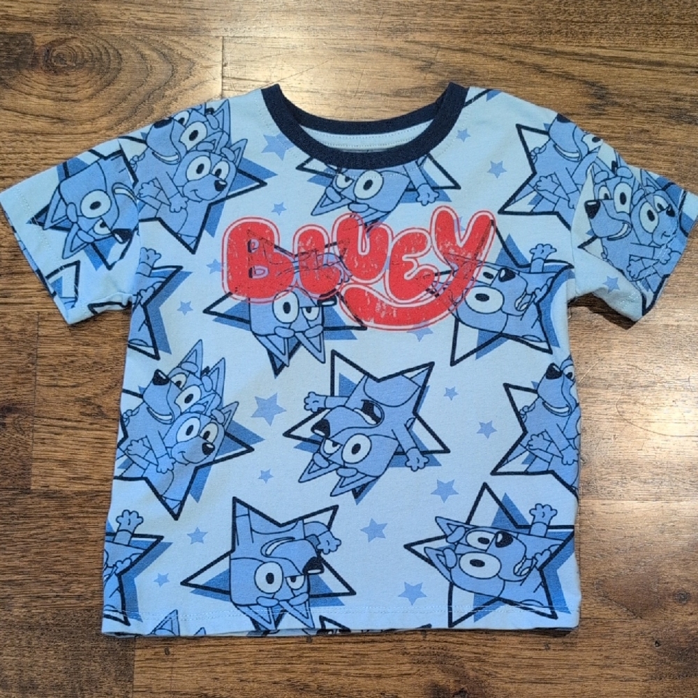 Kids Bluey character print t-shirt size 4T